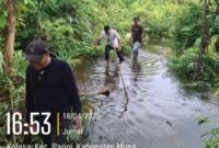 Dewan Pembina AP2 Sultra, La Ode Hasanuddin Kansi saat meninjau lokasi pengerjaan proyek Bendung di Desa Laiba.Foto : Redaksi 